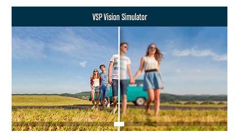20/100 Vision Simulator Eyecare Medical Group (видение)