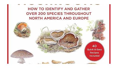 Оригинальное название: The Ultimate Guide to Understanding and Using Magic Mushrooms