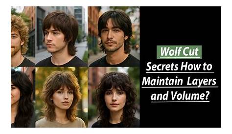 Оригинальное название: The Secrets of the Wolf Cut: A Comprehensive Guide