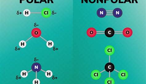 Polar Vs Nonpolar A Comprehensive Guide To Molecular Polarity ¿qué Es Un Momen Di Eléctrico?