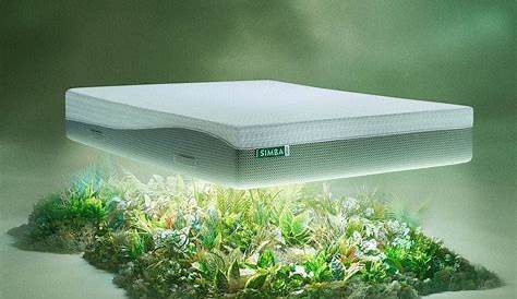 Экологичные матрасы от Amerisleep — лучший выбор для устойчивых вариантов сна 2025 года