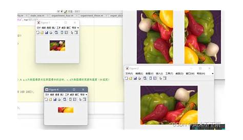 Imageio Python Webp 读取和写入图像数据的库 大邓和他的
