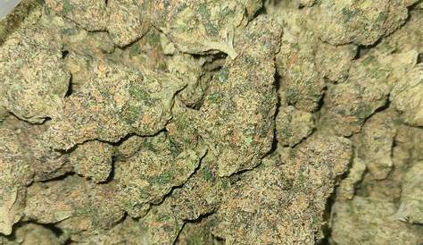 Jolly Rancher выпустили новый трейлер Allbud Marijuana