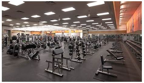 Esporta Fitness: 22 фото и 177 28015 Greenspot Rd
