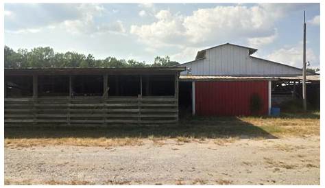Facebook Marketplace Chesnee Sc Livestock Market только в Интернете