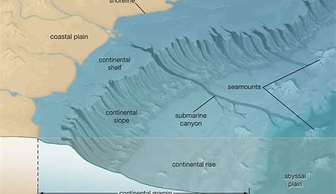 Подводный каньон Определение геология Морские экосистемы и формирование Британника