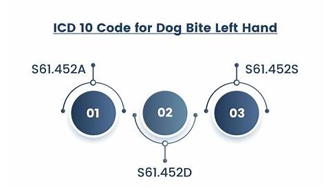 Собака Scratch Icd 10 Code Bite Понимание травм и категорий