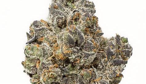 Apple Cobbler Strain Allbud 4 Обзоры редкого каннабиса