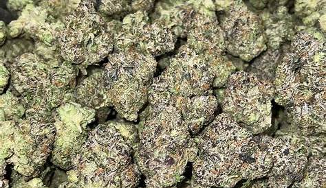 Ревнивый Ранц Потренируй банан Y В помещении Cbd Bulk Cbd Оптовая оптовая оболочка