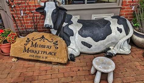 Сайт Coshocton Ohio Madbery Cow Фотография