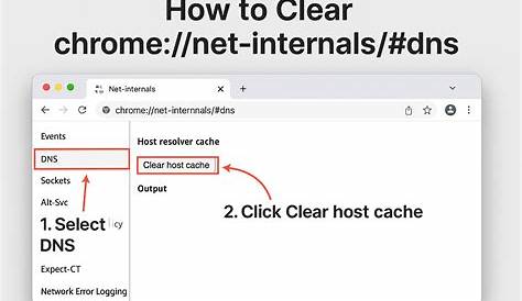 Net.internals Как очистить Dns Cache Chrome