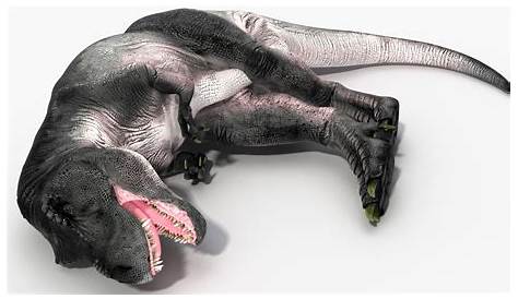 T Rex Arms While Sleeping 3d Model 3d Prinable Cgrader (недоступная ссылка)