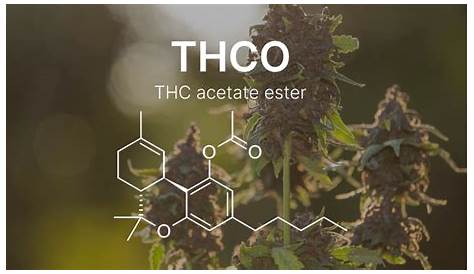 Что такое Thcxr Thco? Преимущества законности Эффекты Rks Дозировка Здравоохранение