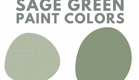 Behr Sage Green Paint Color — лучший серый цвет для парного проекта