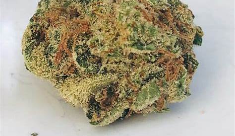 Премиум Oro Blanco Strain: TopShelf Cannabis