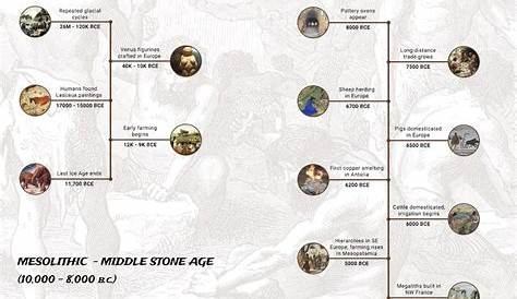Age Mapper Plot Your 1944 Age On The 2023 Timeline Distributi D’âge Définiti Et Explicatis