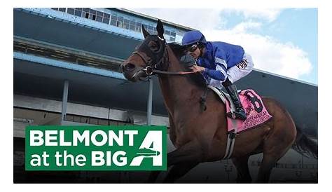 Belmont At The Big A Entries For Tomorrow Fridy 25 октября 2024 Блог о конном спорте