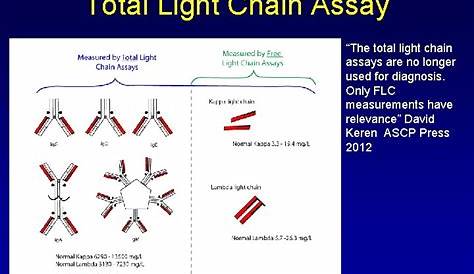Icd 10 Elevated Ana 5 Фотографии Kappa Free Light Chain и просмотр блога Alqu