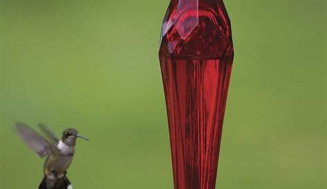 Тракторные корма Hummingbird Feeders Ruby Red Feeder Yardbirds