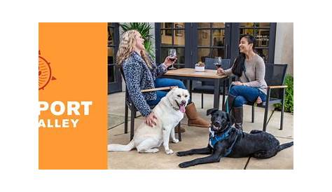 Napa Fairplay Mar 1 Pawsport Valley Valley Ca Patch (англ.) (недоступная ссылка).