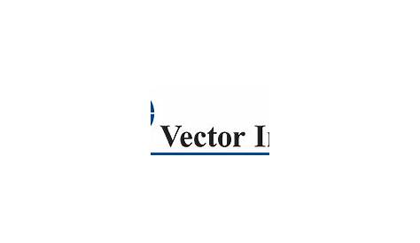 Vector Infotech Thailand Co Ltd เกี่ยวกับเรา Info Tech