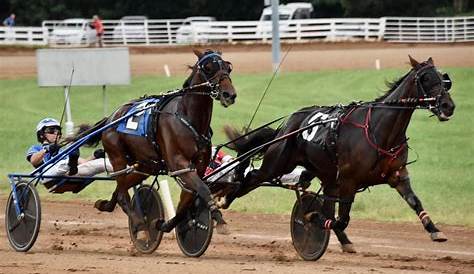 США Trotting Assn Entries Results and