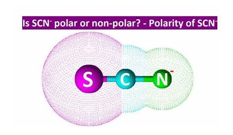 Является ли Scn полярным или неполярным Makethebrainhappy Scn Non?