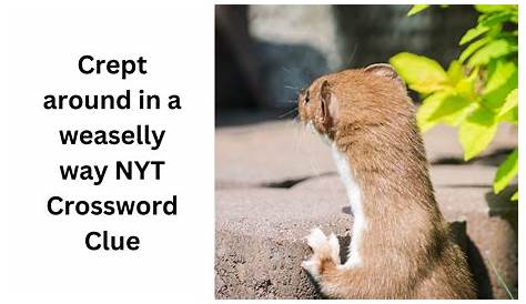 Оригинальное название: Unlocking the Mystery: Your Guide to the Short-tailed Weasel Crossword Clue