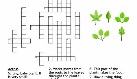 Оригинальное название: The Mystery of the Prickly Plant Part Crossword Clue