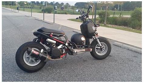 Honda Ruckus в продаже с 2012 года