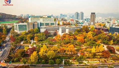 Global Excellence Dongguk University Korea Đại Học Lựa Chọn Du Học Số 1 Tại Seoul