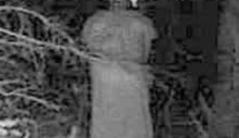 Скриншоты из игры Bigfoot Trailcam Real Or Fake?: Hunter’s Trail Cam захватывают странный образ, но мы решили