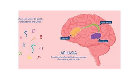 Icd 10 Code for Expressive Aphasia Due to Cva — Биологический словарь