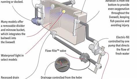 Bass Tracker Livewell Systemsoundnik Подробнее о Flowrite Diagram