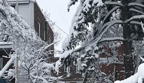 Snow Fall Montreal December First ‘real’ Alleyway In The Morning Montréal ️ 17