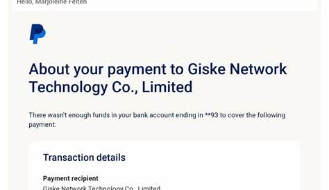 Giske Network Technology Co. Limited 1 Report 2 Comments