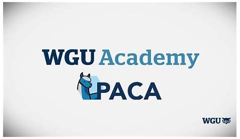 Обзор технической поддержки Wgu Academy 2 0 Youtube