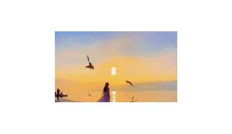 Пляжные бабы Gifs Beautiful Gif Girls Animation Messenger Reflection