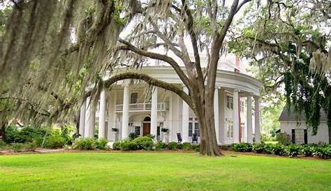 Craigslist of Valdosta Georgia Guide to Cool Places to Visit (недоступная ссылка — история).