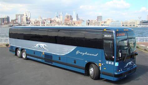 Иконические семечки Greyhound Bu America стали зеленее