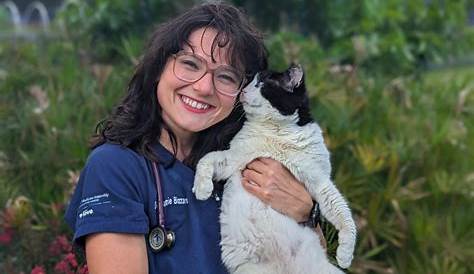 Harmony Vetcare Vet Care Youtube