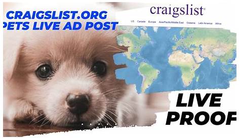 Elpaso Craigslist Pets Shittzu (альбом)