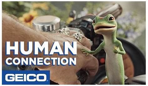 Geco Comesiallibrary 10 лучших рекламных роликов Geico для хорошего смеха