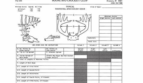 Boone And Crockett Score Скачать B&c Chart Pdfs Club