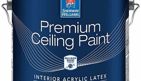 Sherwin Williams Premium Ceiling Paint Обзор картины «Выдающееся сухое время» Shelly Lighting