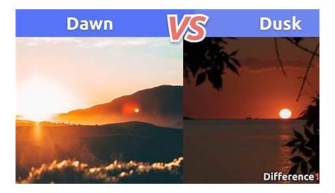 Dawn And Dusk Timespittube Vs Diferencia Y Comparación