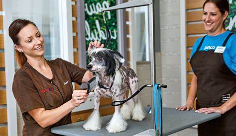 Petco Walk In Grooming (альбом)