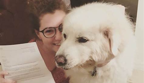 Ap Lit Quizlet Vocab Quiz 2 Диаграмма