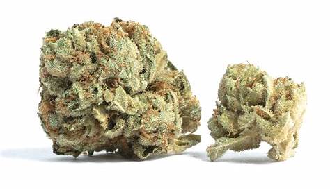 Розовый трюфель Strain Leafe Sundae