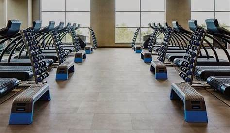 Варианты фитнес-состава на всю жизнь стоит того, чтобы пересмотреть 2024 Dr Workout
